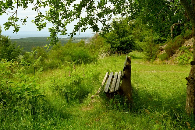 这辆车不仅 这辆车不仅