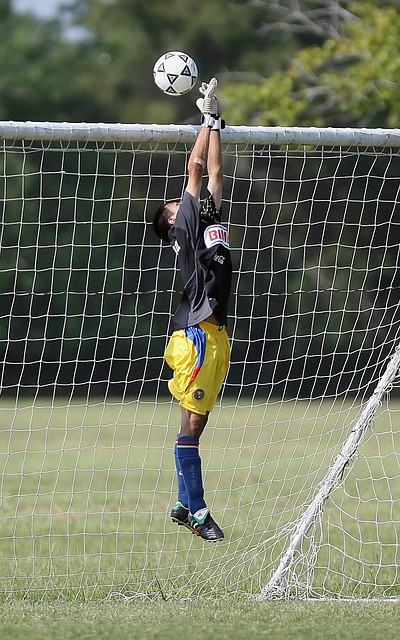 而對於葡萄 而對於葡萄