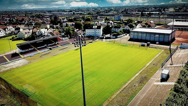 这种分布让 这种分布让